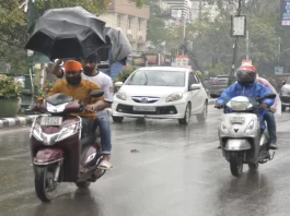 Heavy Rain Alert