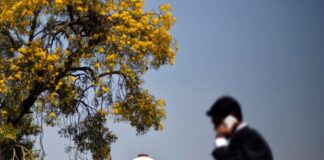 Atiq Ahmed case in SC