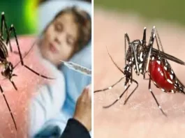Dengue