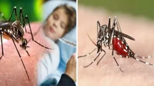 Dengue