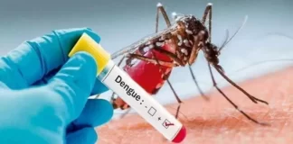 Dengue In Haridwar