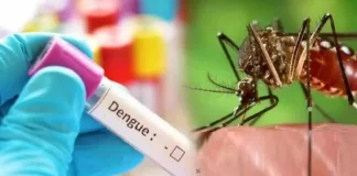 Dengue In Uttarakhand