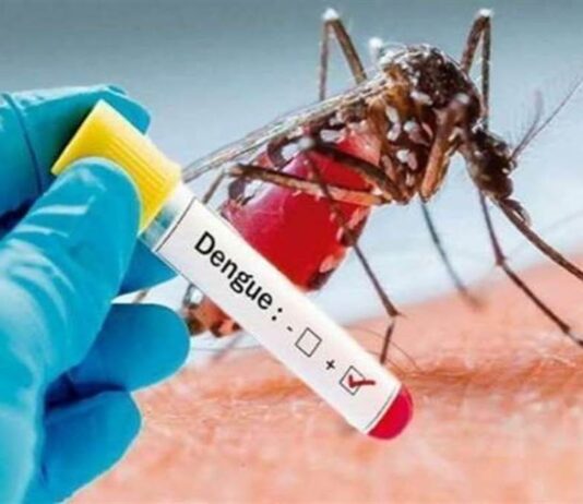 Dengue