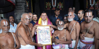 Parthasarathy Temple