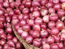 Onion Price Rise