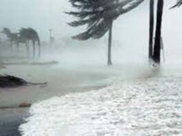 Cyclone Michaung