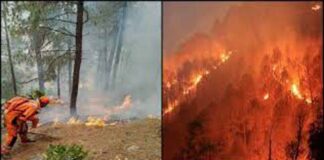 Uttarakhand Forest Fire