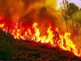 Uttarakhand Forest Fire