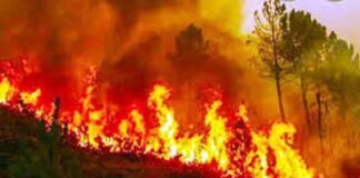 Uttarakhand Forest Fire
