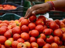 Tomato Price Hike