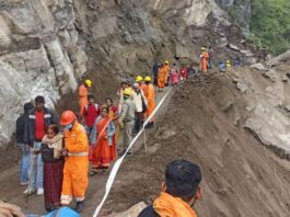 Badrinath Highway
