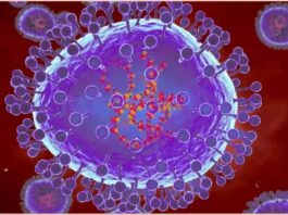 HMPV Virus