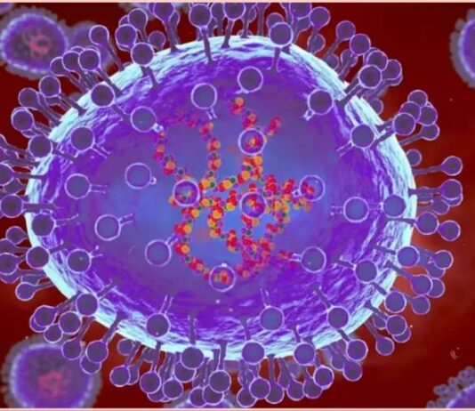 HMPV Virus