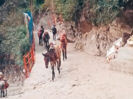 Chardham Yatra Temple