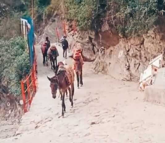 Chardham Yatra Temple