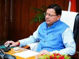 Tharali Bailey Bridge