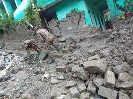 Tharali disaster