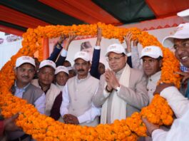 MP Sports Festival