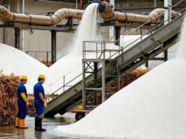 India Sugar Export Ban