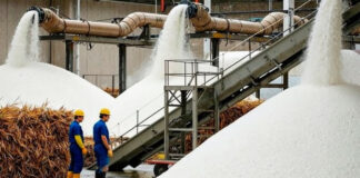 India Sugar Export Ban