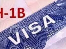 H1B VISA PLAN