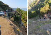 Himachal Road Accident