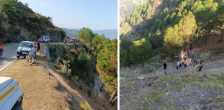 Himachal Road Accident
