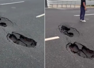 Delhi-Dehradun Expressway : दिल्ली-देहरादून एक्सप्रेस-वे की सड़क धंसने पर बड़ा ACTION, प्रोजेक्ट मैनेजर समेत 2 सस्पेंड Delhi-Dehradun Expressway