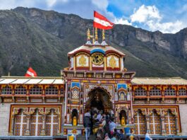 Badrinath Theft Case