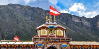 Badrinath Theft Case