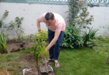FESTIVAL HARELA 2026