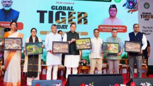 International Tiger Day