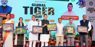 International Tiger Day