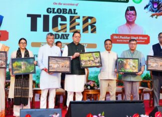 International Tiger Day